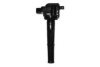 ANGLI 15507 Ignition Coil